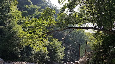 Photos of 도적폭포