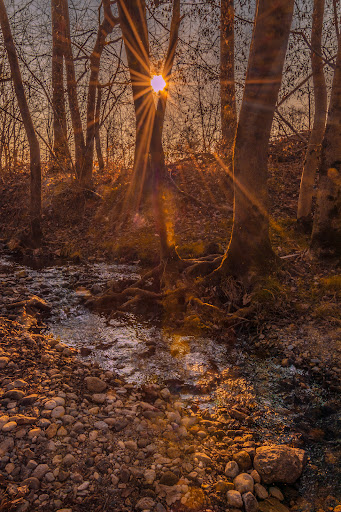 Ingresso Palude Brabbia - Thumbnail