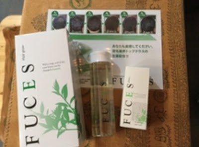 理容室ランプ／hair salon Lamp