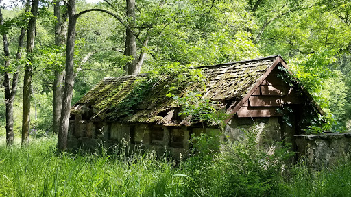 Springbrook State Park - Visual