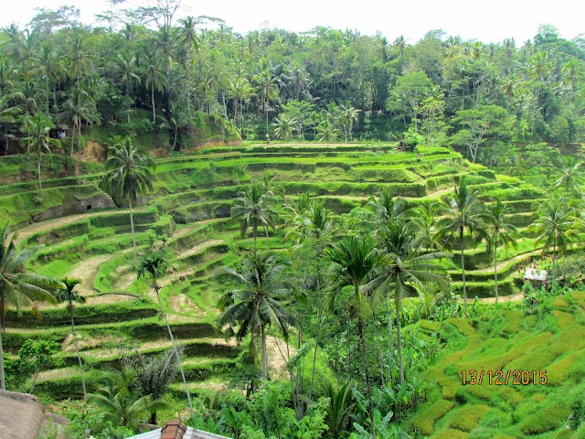 Ubud