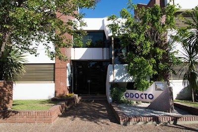 Photos of Odocto