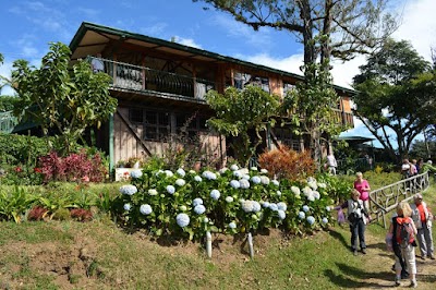 Photos of Tres Generaciones Coffee Shop