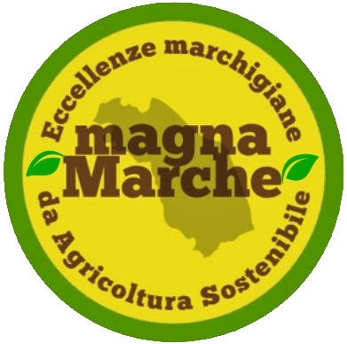 magnaMarche - Visual