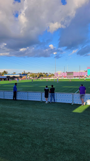 Starlight Stadium - Visual