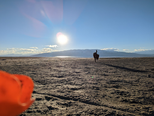 Utah Lake Public Access Point American
