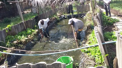 Photos of Nguuni Nature Sanctuary