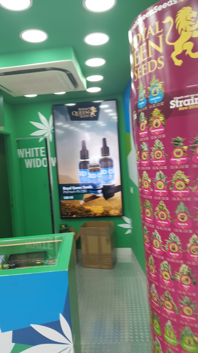 Royal Queen Seeds Store