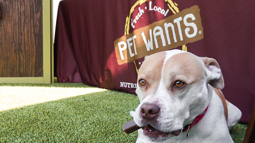 Pet Wants Scottsdale - Thumbnail