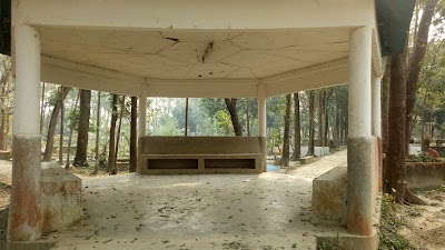 Photos of Central Municipal Cemetery