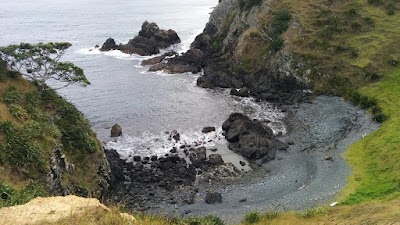 Photos of Port Jackson Camping Ground