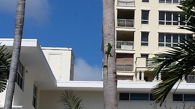 Photos of The Pillars Hotel