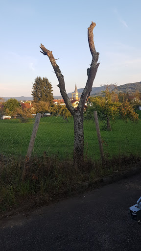 Robert-Bosch-Straße - Dettingen unter Teck - Thumbnail