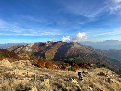 Qafshtama National Park