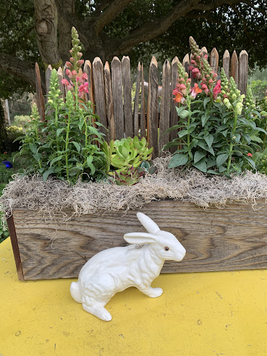 Iron Pony Plant Nursery & More - Thumbnail