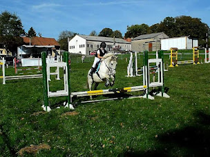 Photo n°12 de Elevage du Lak à Bussière-Galant (Centre équestre)