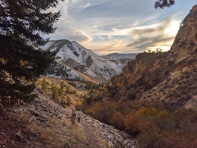 Goldbug Hot Springs