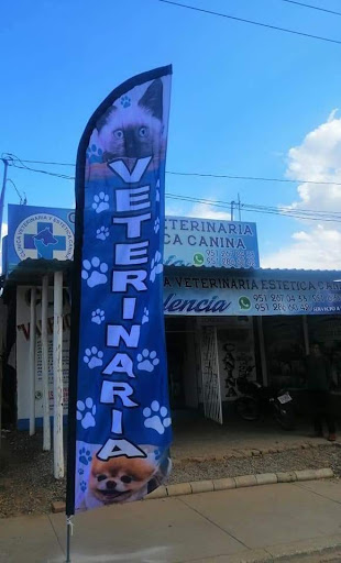 Clínica veterinaria y estética canina Valencia