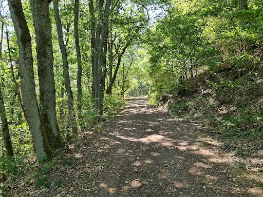 Traumschleife Saar-Leuktal-Panorama - Thumbnail