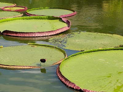 Photos of La Rinconada Ecoparque y Restaurante