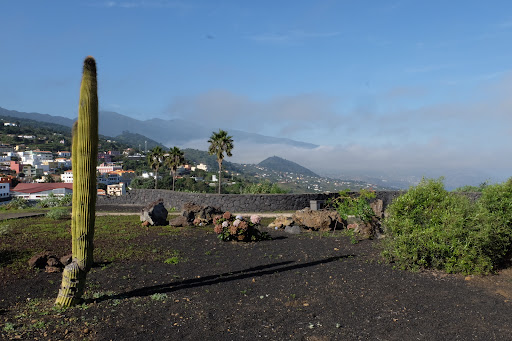 Parc Pesado - Thumbnail