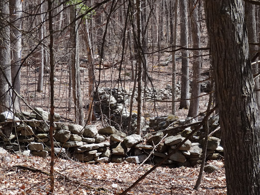 Nathan Hale State Forest