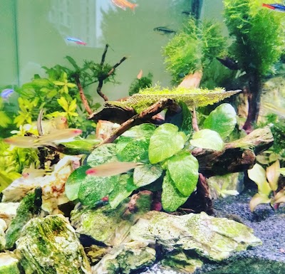 Photos of Evcil D&uuml;nya Akvaryum