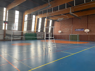 Photo n°1 de Volley ball Saint Amand les eaux AAVB à Saint-Amand-les-Eaux (Club de volley-ball)