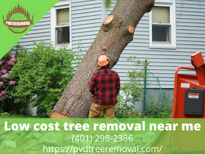 Low cost tree removal near me Warwick RI