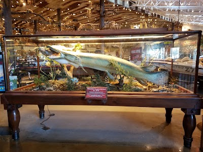 Bass Pro Shops