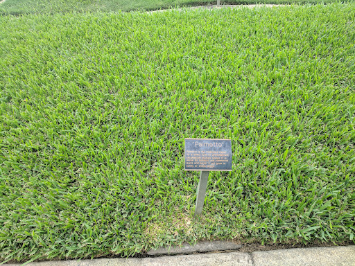 Grass Showcase - Visual