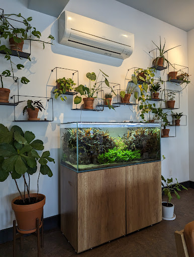Macondo - Visual