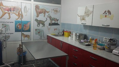 TIMOS Veterinary Clinic