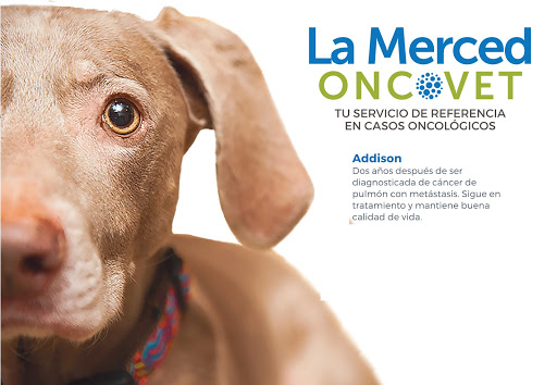 La Merced Veterinary Specialists