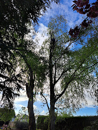 Photo n°18 de duval paysage à Le Perrey (Paysagiste)