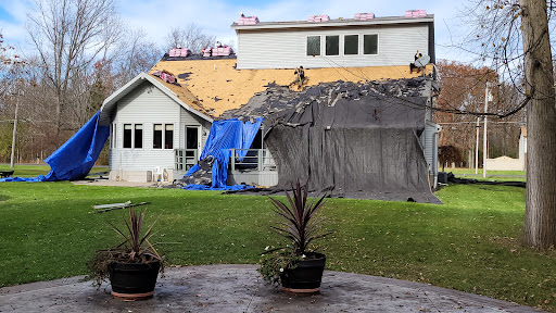Buffalo Fresh Roof Gallery - United States