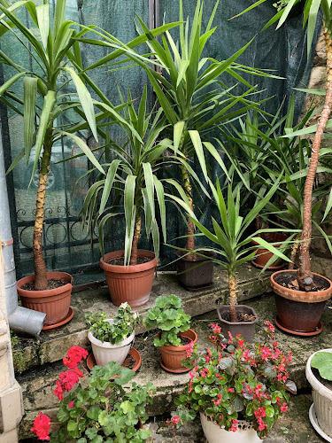 Русе Център, ул. „Велико Търново“ 5, 7000 Русе