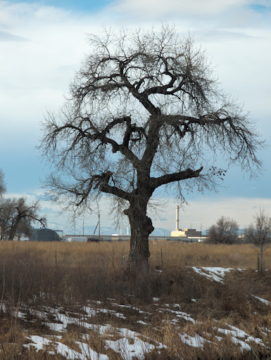 Poudre River Trail - Thumbnail