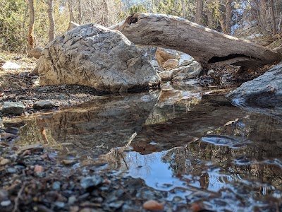 John F Kennedy Campground