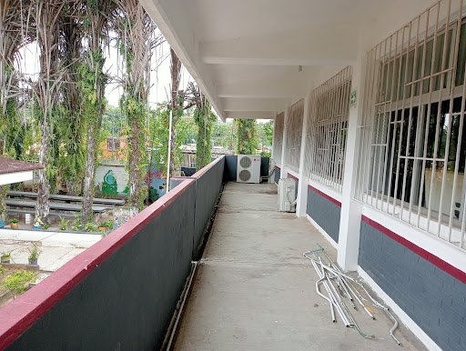 Colegio de Bachilleres del Estado de Veracruz