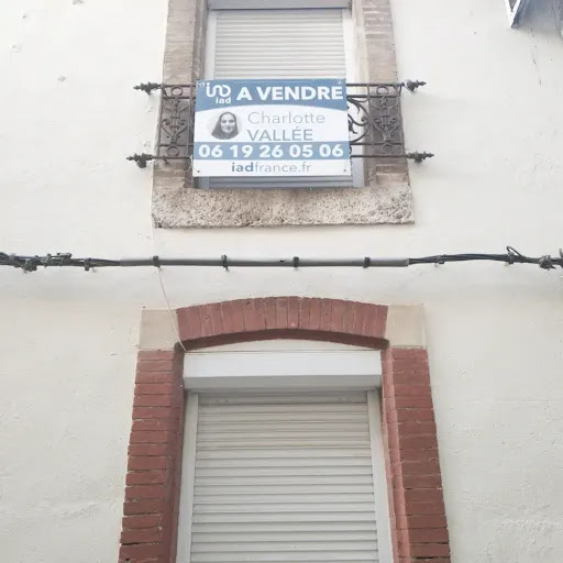 Charlotte VALLEE iad France - Thumbnail