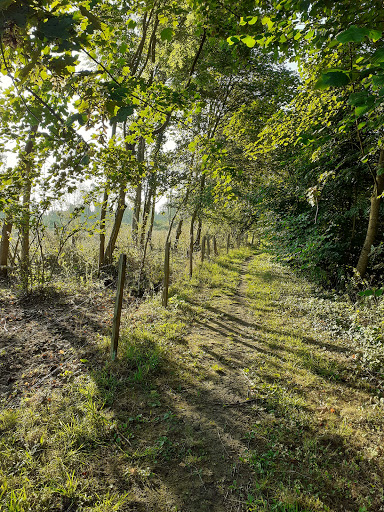 Marais de Marœuil - Thumbnail