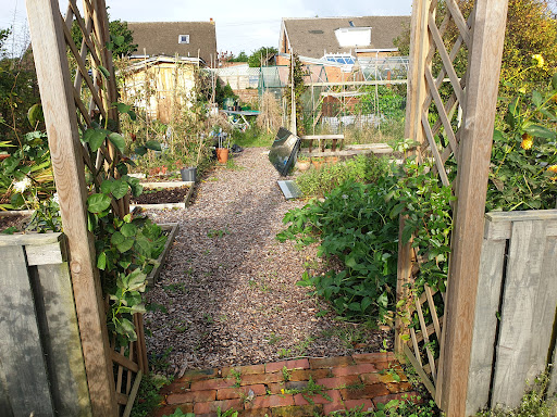 Shepherd Road Allotments - Thumbnail
