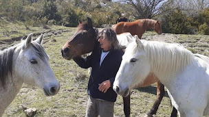 Photo n°17 de Centre Equestre La Grande Bastide à Peyroules (Pension pour chevaux)