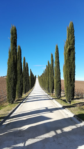 centro sociale bevagna - Thumbnail