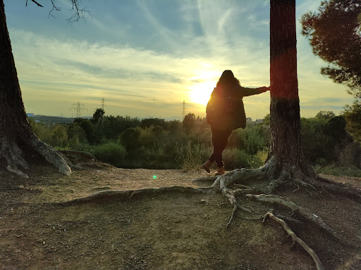 Parc Ca N'Alzamora - Thumbnail