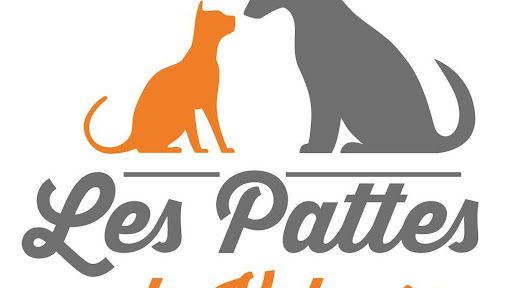 Photo 1 - Les Pattes de Velours