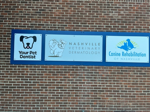 Your Pet Dentist