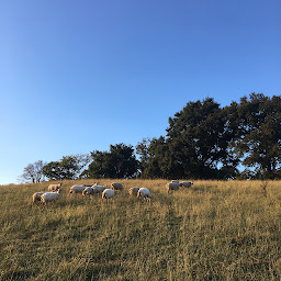 Photo n°3 de HAIXPIA à Hasparren (Service de location de tentes)