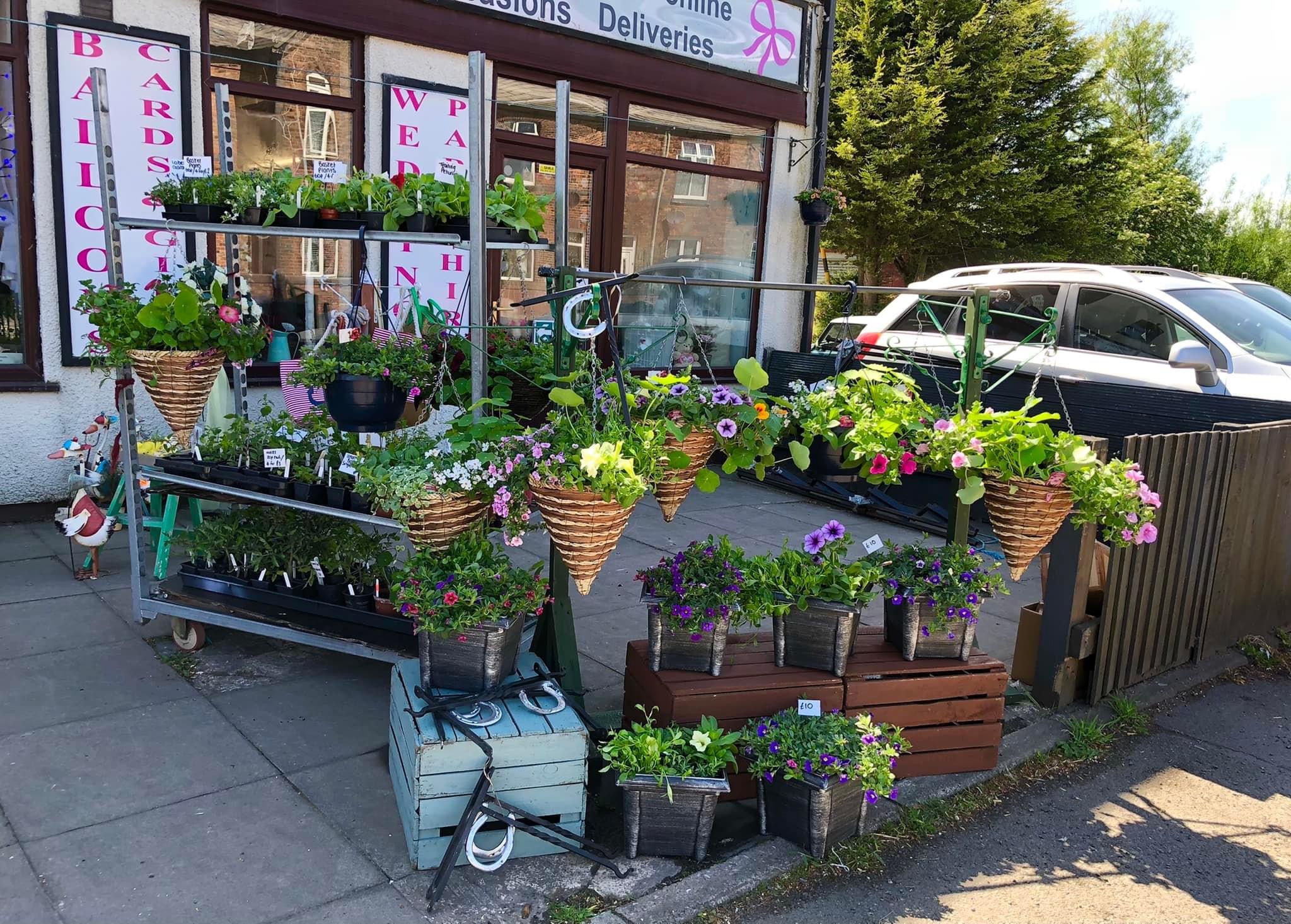 Bows & Roses Florist - Florists - photo 1